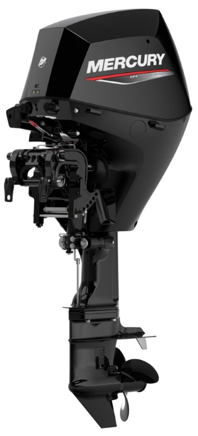 Mercury F 25 EFI